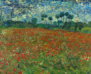 Poppy Fields